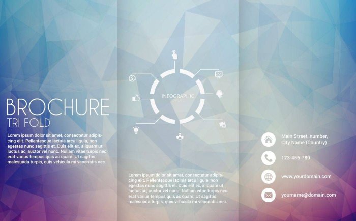 Print Brochures