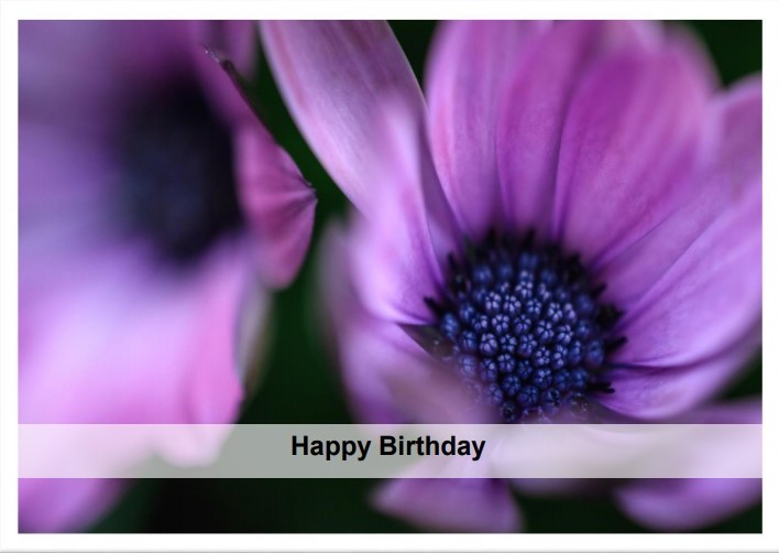 Print Greeting Cards